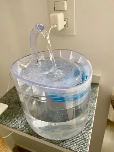 Fonte de água para gatos