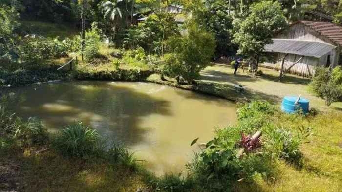 Chácara para Venda em Corupá / SC no bairro Itapó