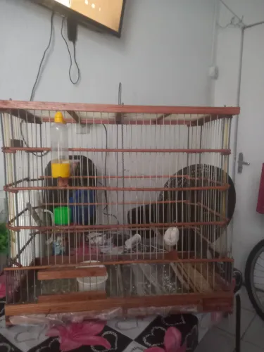 Vende.se