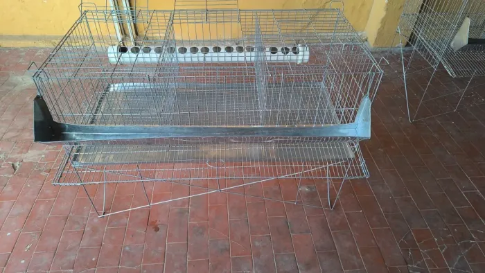 Gaiolas para codorna ou galinha