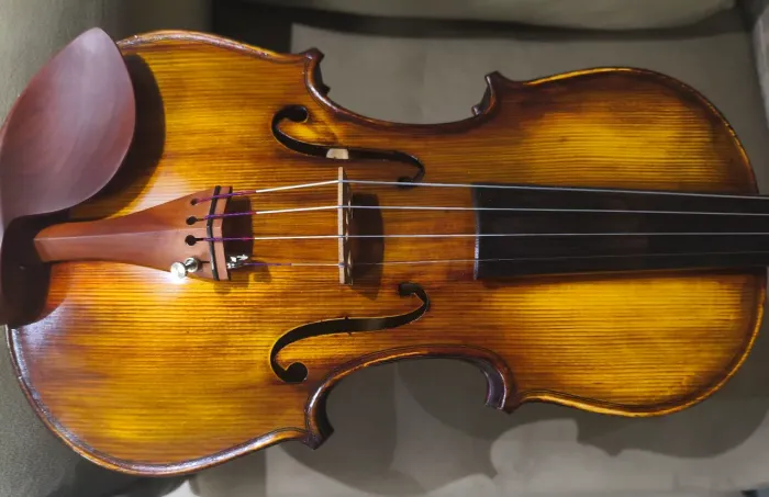 Violino