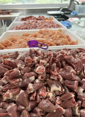 Auxiliar de Produção Cozinha