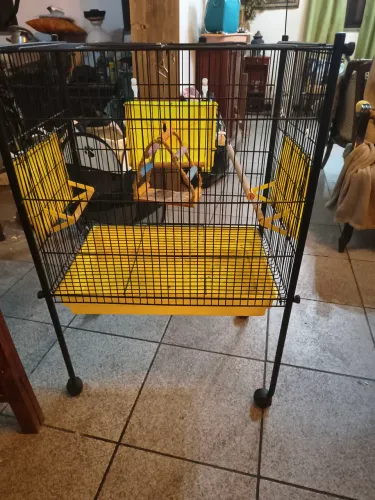 Vendo viveiro