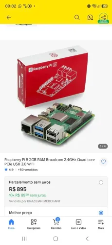 Raspberry