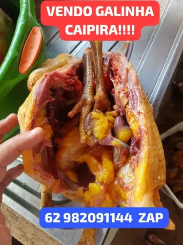 GALINHAS CAIPIRA