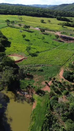 Vende-se Fazenda no Município de Alexânia/GO - Pronta para produção de leite