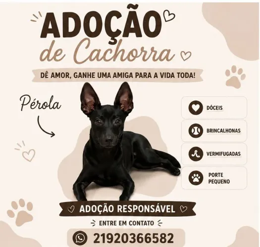 Adoção responsável Pérola