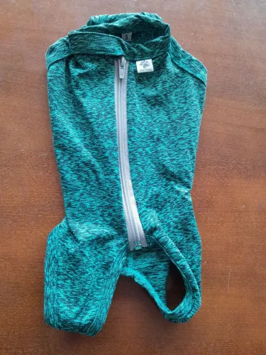 Roupa pós cirurgia para cães 