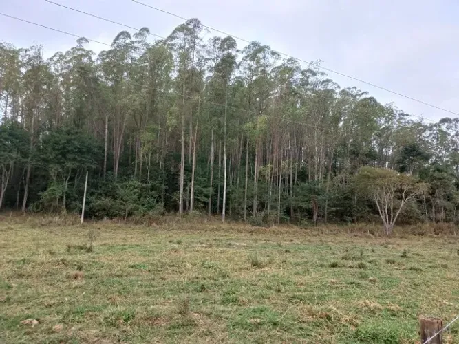 Joaquim Felício- Fazenda de Soja e Milho 2753 hectares R$62.000.000,00
