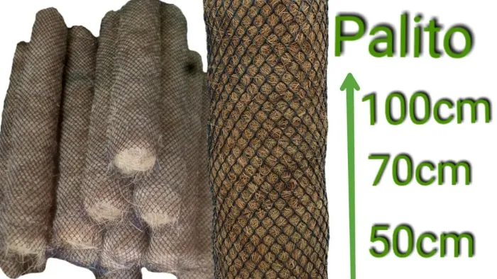 Palitos de Coco para Plantas - 50cm