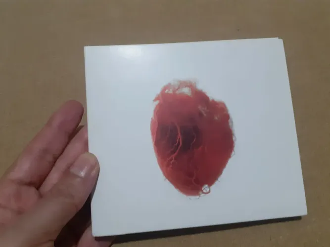 CD + DVD AKRON FAMILY LOVE IS SIMPLE IMPORTADO USA ROCK PROG