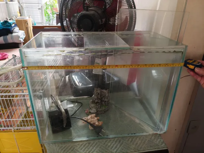 Aquário para peixes