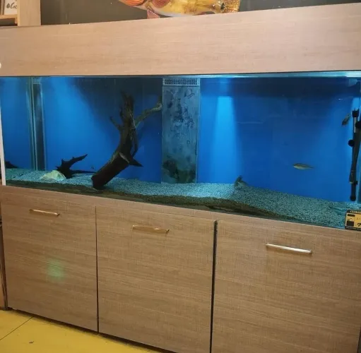 Aquario grande