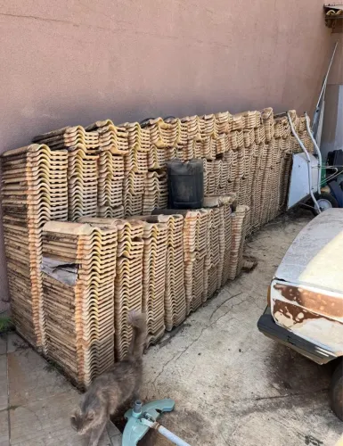 Telha francesa cerâmica bege R$1,00 cada