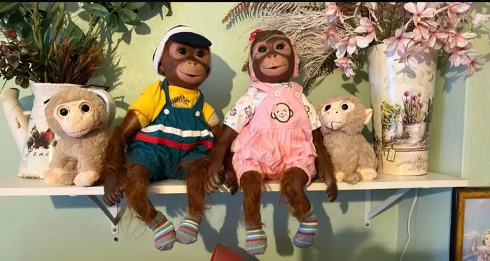 Boneco reborn chimpanzé chimp Bebe macaco