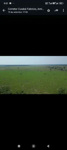 Fazenda de arrendamento 4.000 hec em.pasto em São Miguel do Guaporé RO.