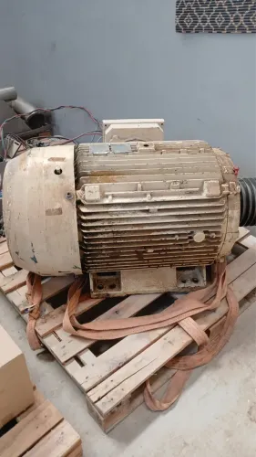 Motor 75 cv - 600kl. - 380v
