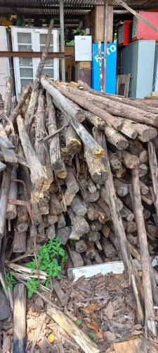 PONTALETES DE EUCALIPTO SECOS R$13,00 A UNIDADE