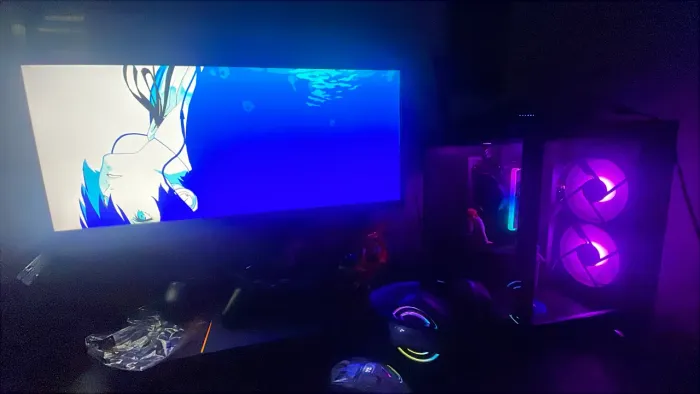 Monitor 29 polegadas LG