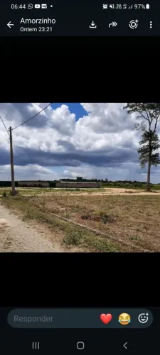 Parque das palmeiras