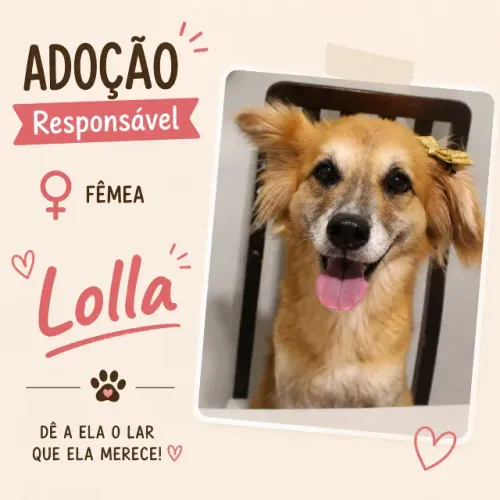 Doação de Cachorro 