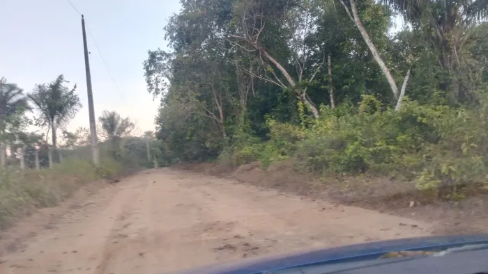 Ramal bela vista janoari 