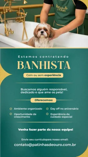 FAÇA PARTE DA EXCELENCIA EM ESTETICA PET! 