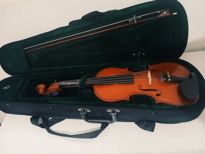 Violino 4/4 Michael Completo Com Case E Arco Conservado