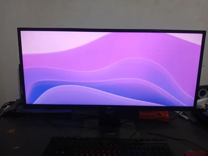 MONITOR LG 29P ULTRAWIDE