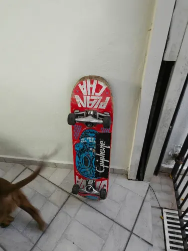 Skate