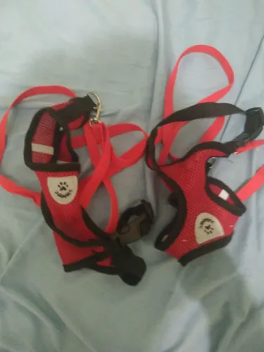 Vende se duas coleiras pequena
