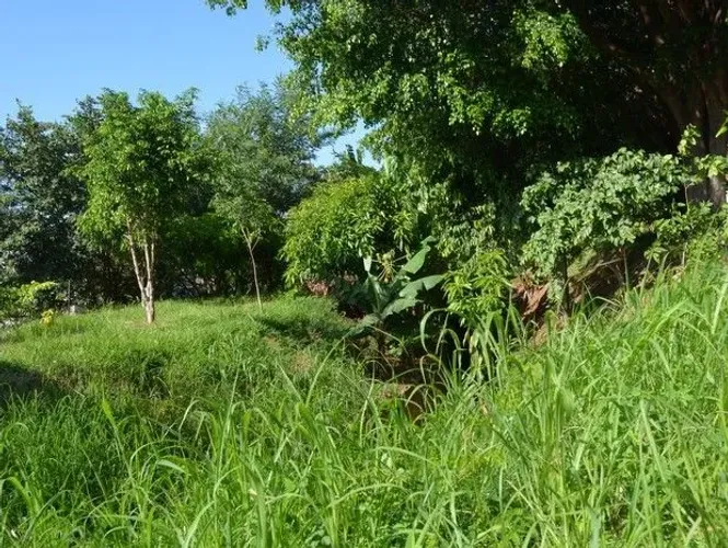 SÍTIO NO SURRÃO (Cantá) 