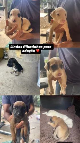 Doação