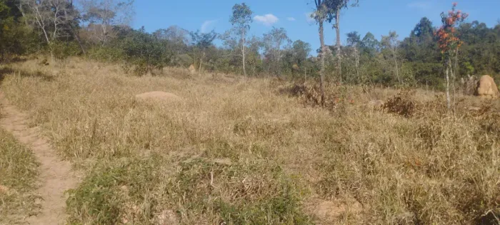 Terreno em Itaguara 20 Mil Metros, 2 HECTARES 1km de strada de terra OPORTUNIDADE