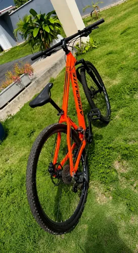 Bike Absolute Aro 29