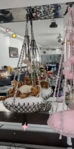 Cama de Gato