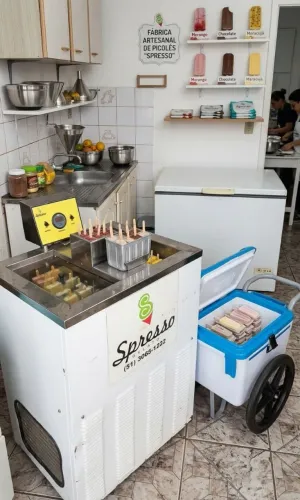 CARRINHO DE PICOLE