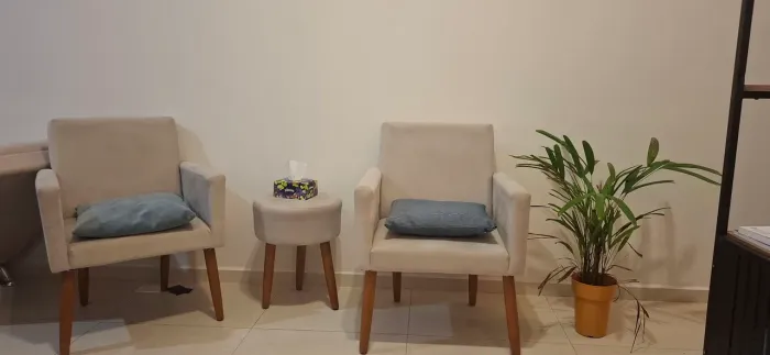 Poltrona / Cadeira / Nova, com um brinde