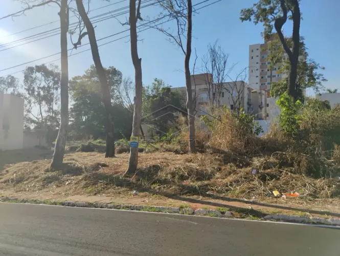Terreno Padrão em Bauru