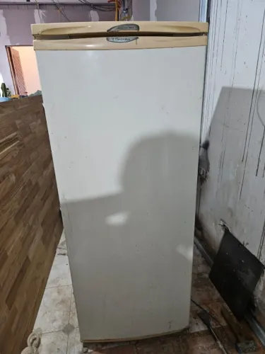 Geladeira Electrolux R310
