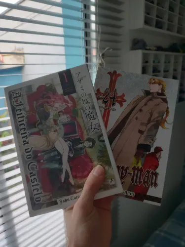 D.gray Man 24 + a feiticeira do castelo 1