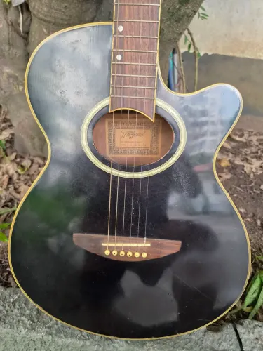Violão Elétrico Tagima Dallas,Eletrica boa,tensor,cordas de AÇO. precinho 460,00 na z.sul.