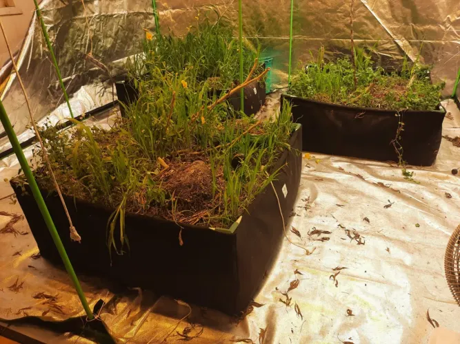 Vaso feltro Nirvana Grow Shop- 1m x 1m x 40cm : 400 litros (feito sobre encomenda)
