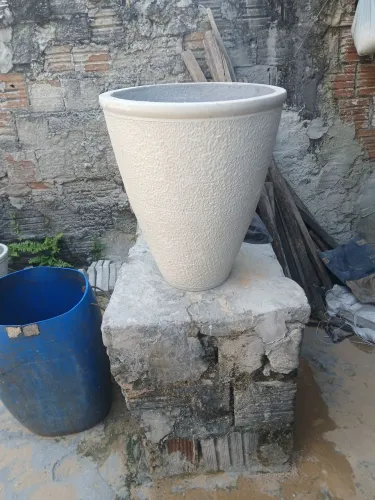Vasos de plantas 