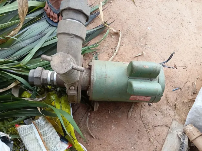 Motor bomba 