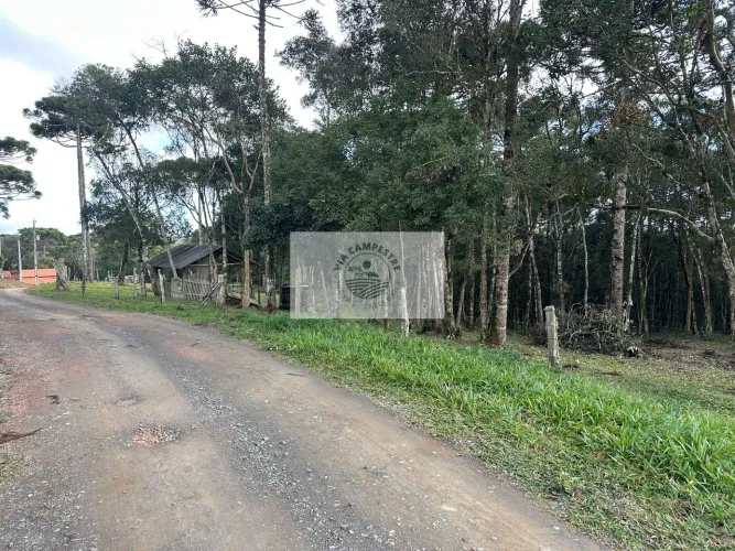 Terreno para sitio na região do Lageado, apenas 500 metros do asfalto, rua sem saida