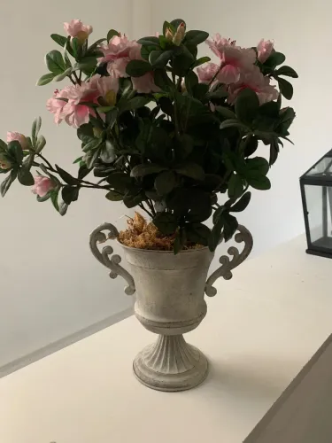 Vaso clássico de ferro