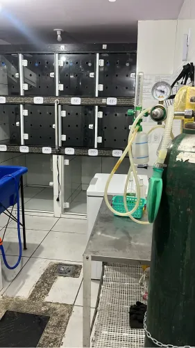 Passo ponto de clínica veterinária em Colubande São Gonçalo montada