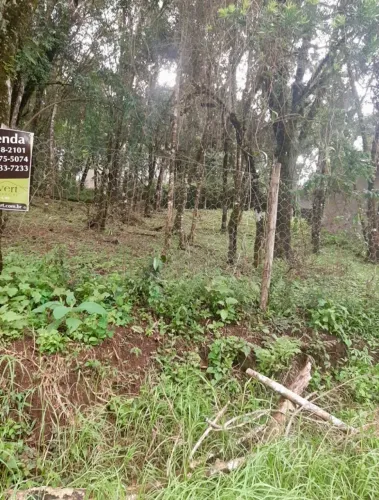 Terreno em Monte Verde - 773 m² - Próximo ao Centro
