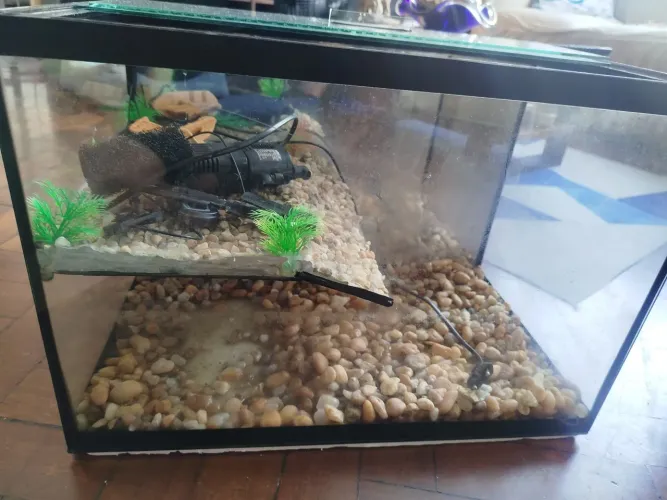 Vendo Aquário com Plantaforma
